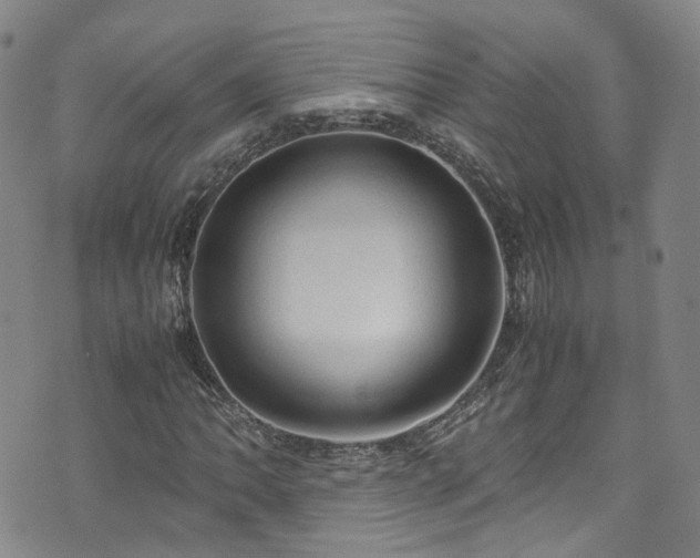 X0000072551062200607141247