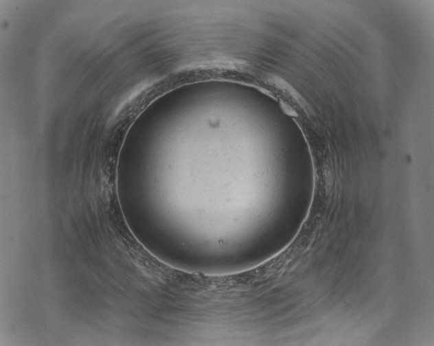 X0000072551064200607141247