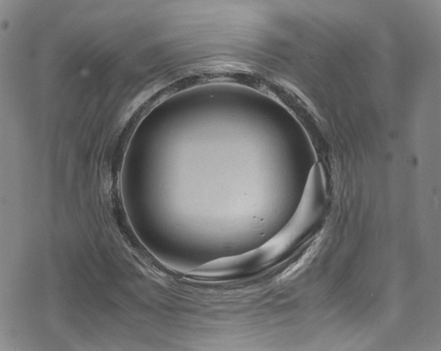 X0000072551065200607141247