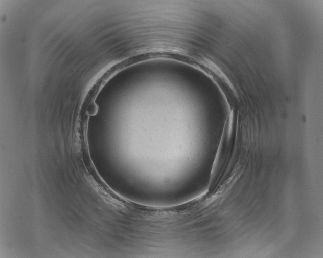 X0000072551068200607141247