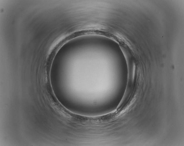 X0000072551069200607141247