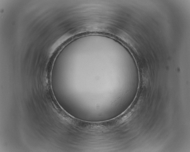 X0000072551070200607141247