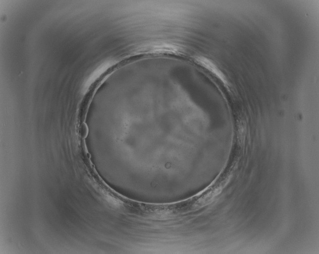 X0000072551071200607141247