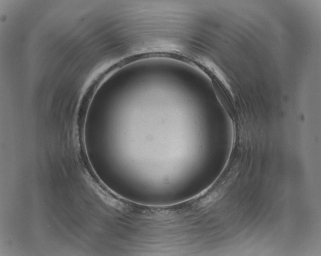 X0000072551072200607141247