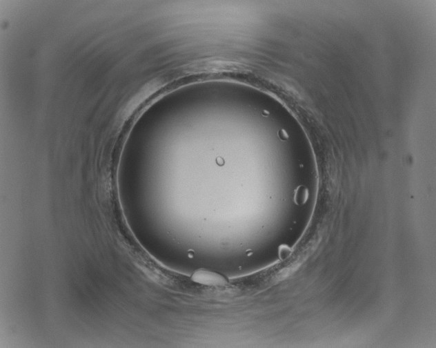 X0000072551073200607141247