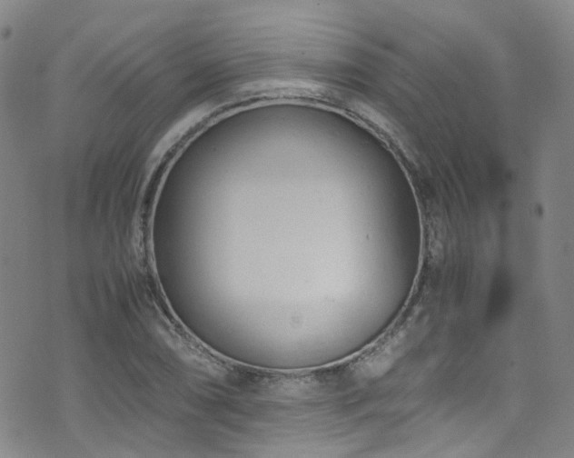 X0000072551074200607141247