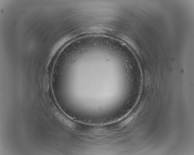 X0000072551075200607141247