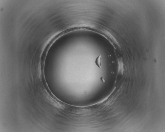 X0000072551076200607141247