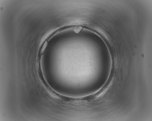 X0000072551077200607141247