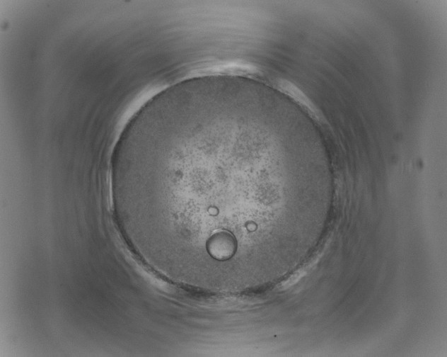 X0000072551079200607141246