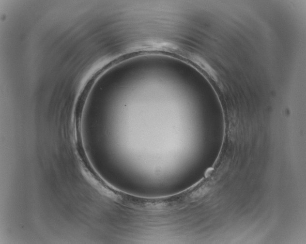 X0000072551080200607141246