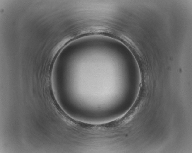 X0000072551081200607141246