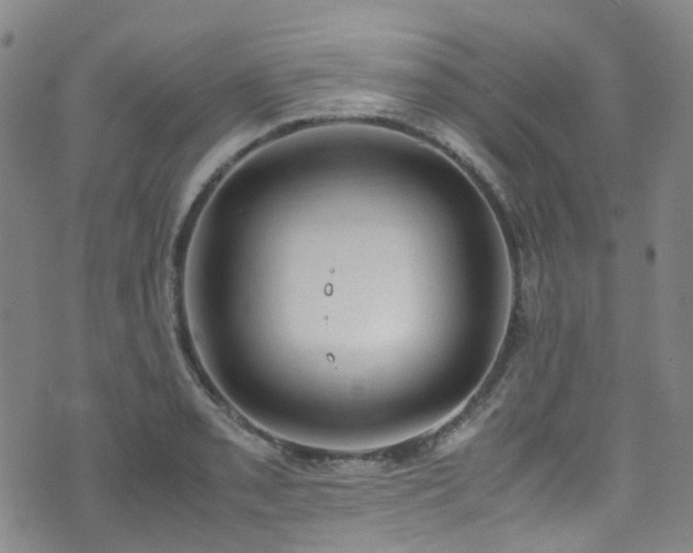 X0000072551085200607141246