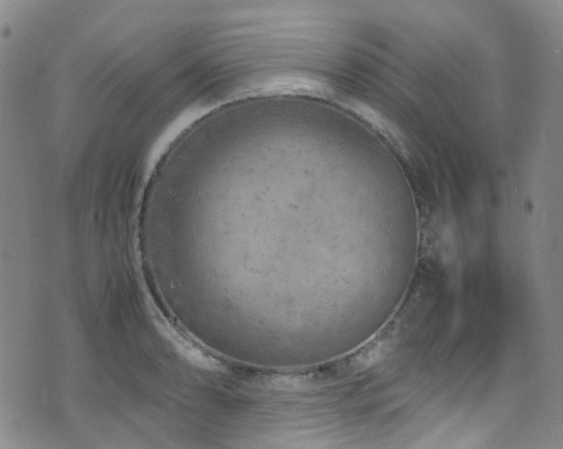 X0000072551086200607141246