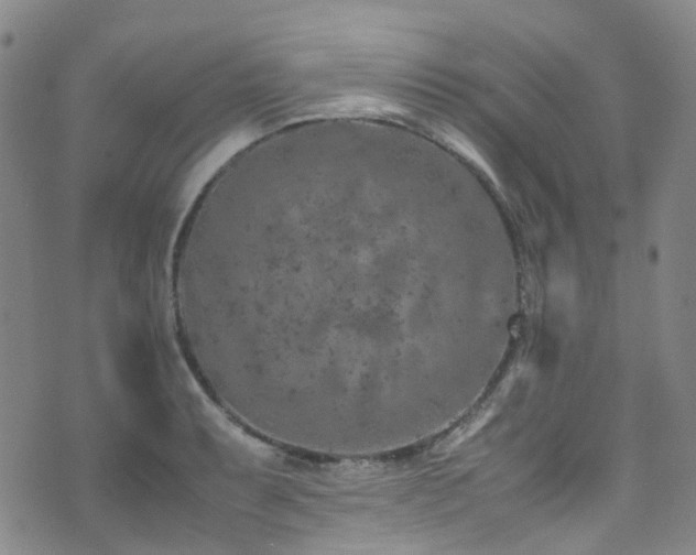 X0000072551087200607141246