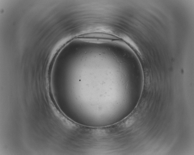 X0000072551088200607141246