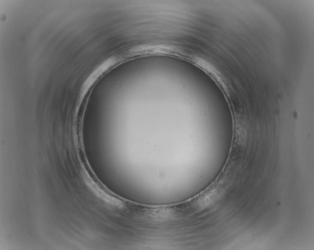 X0000072551090200607141246