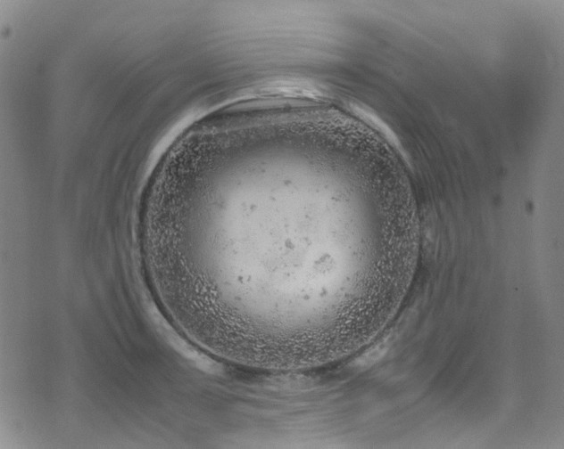 X0000072551091200607141246