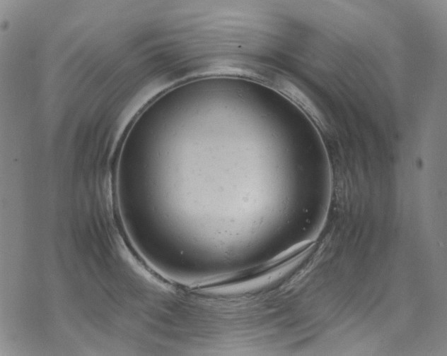 X0000072551092200607141246