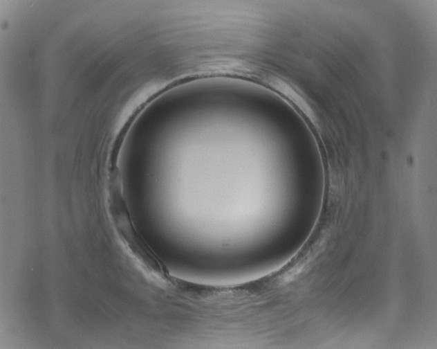 X0000072551093200607141246