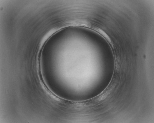 X0000072551096200607141246