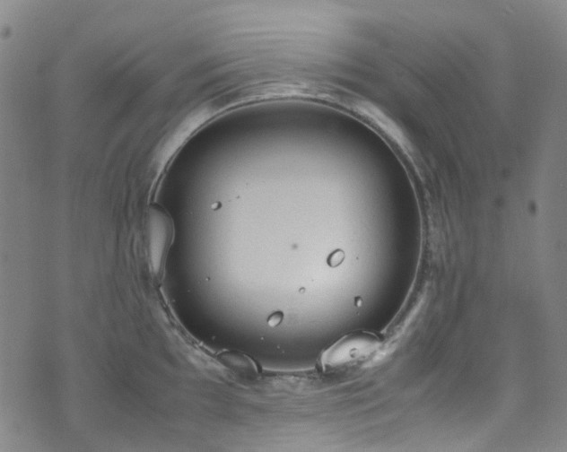 X0000072551097200607141246