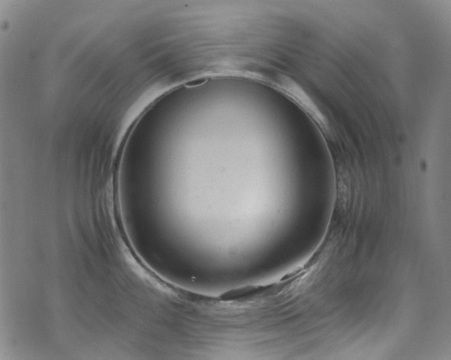 X0000072551100200607141246