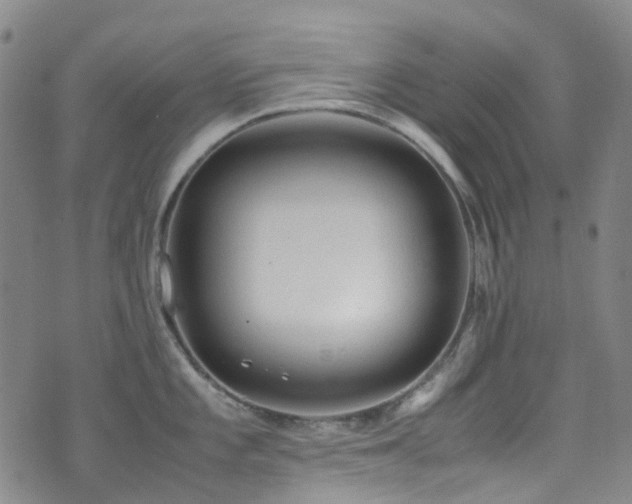 X0000072551101200607141246