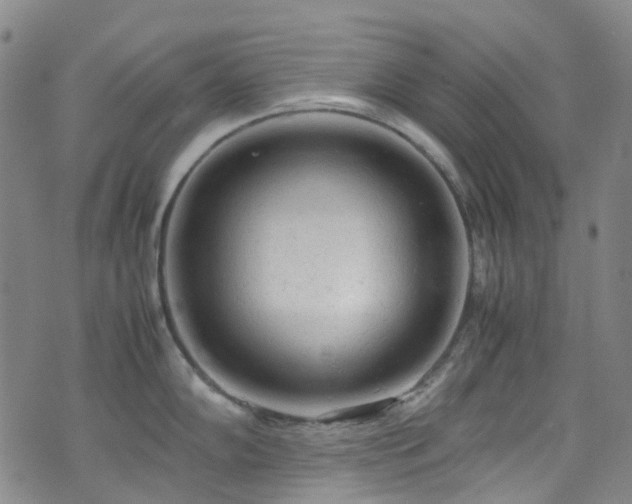 X0000072551102200607141246