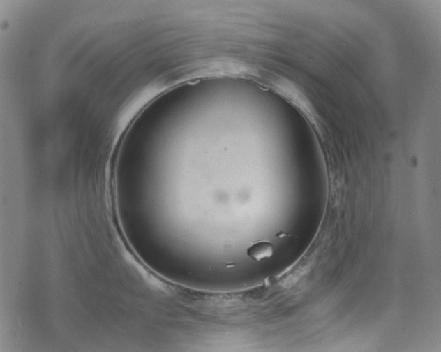 X0000072551103200607141246