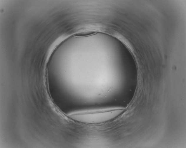 X0000072551104200607141246