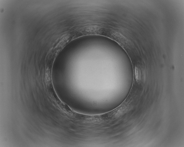 X0000072551107200607141245