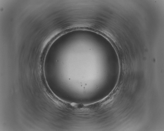 X0000072551119200607141246