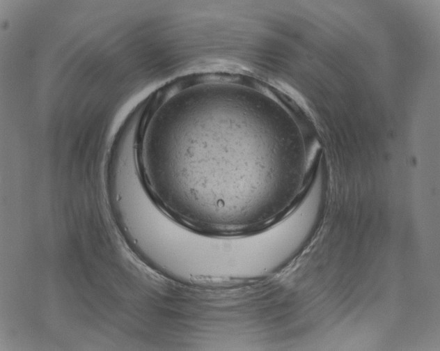 X0000072551120200607141246