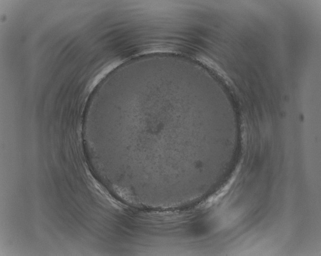 X0000072551121200607141246