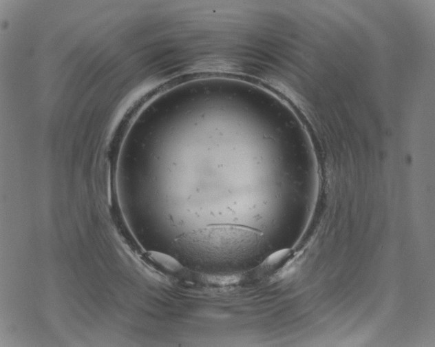 X0000072551123200607141246