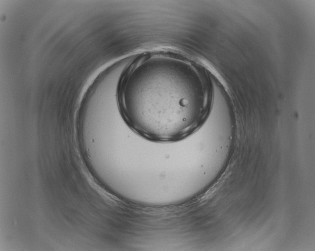 X0000072551124200607141246