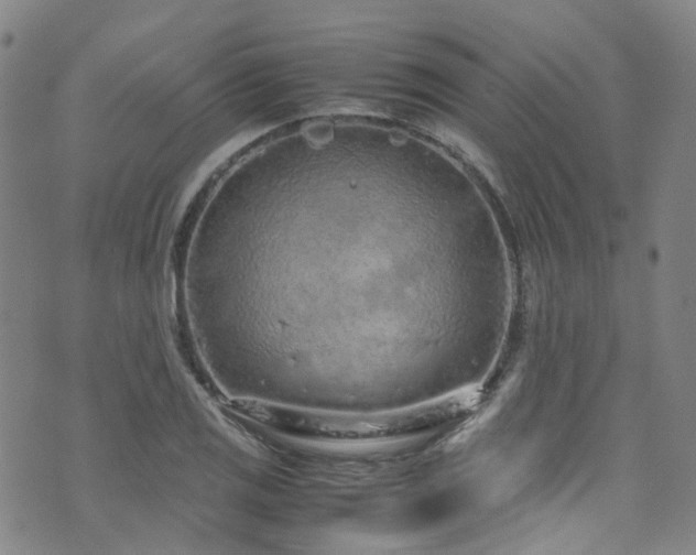 X0000072551125200607141246