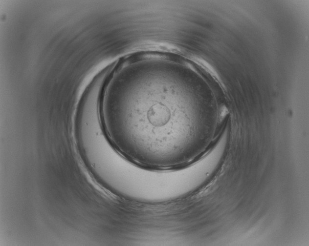 X0000072551128200607141246