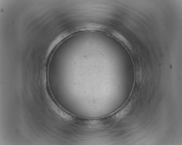 X0000072551130200607141246