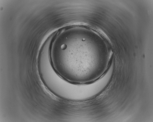 X0000072551132200607141246