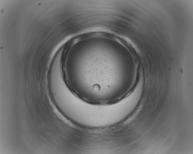 X0000072551134200607141246