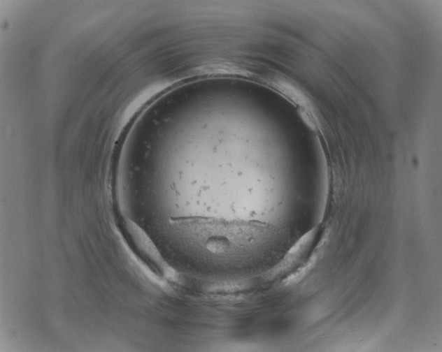 X0000072551141200607141246