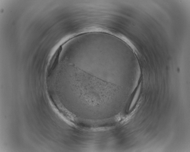 X0000072551142200607141246