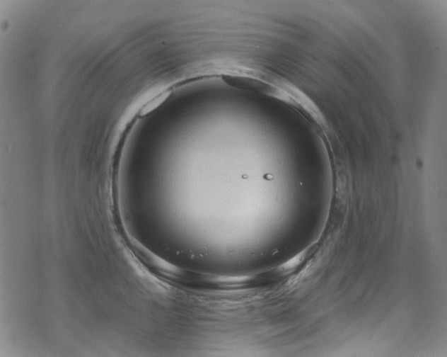 X0000072551144200607141246