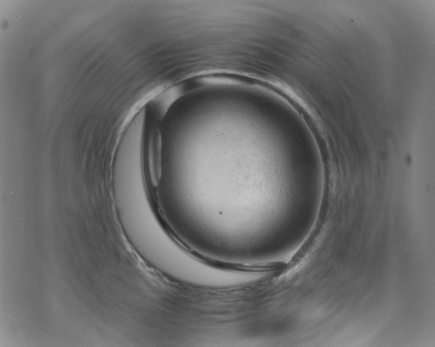 X0000072551145200607141246