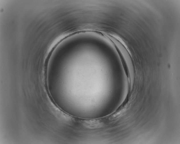 X0000072551147200607141246