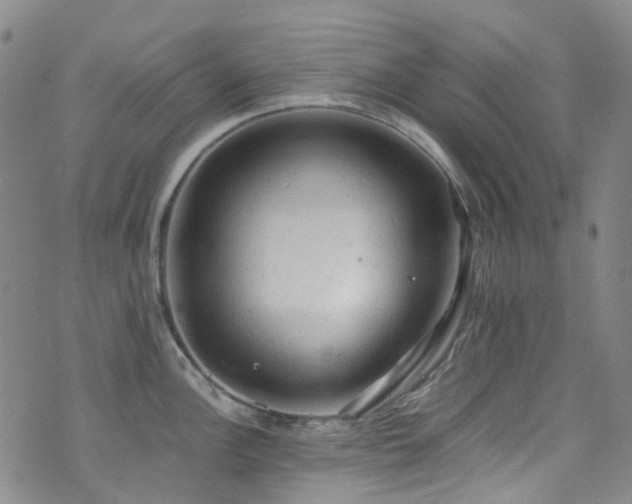 X0000072551148200607141246