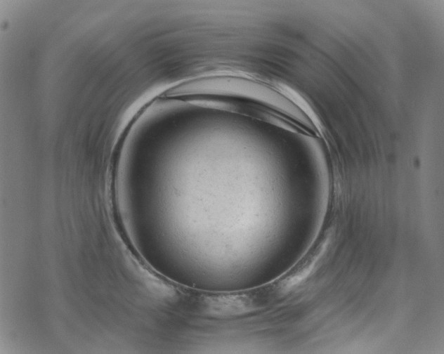 X0000072551149200607141246