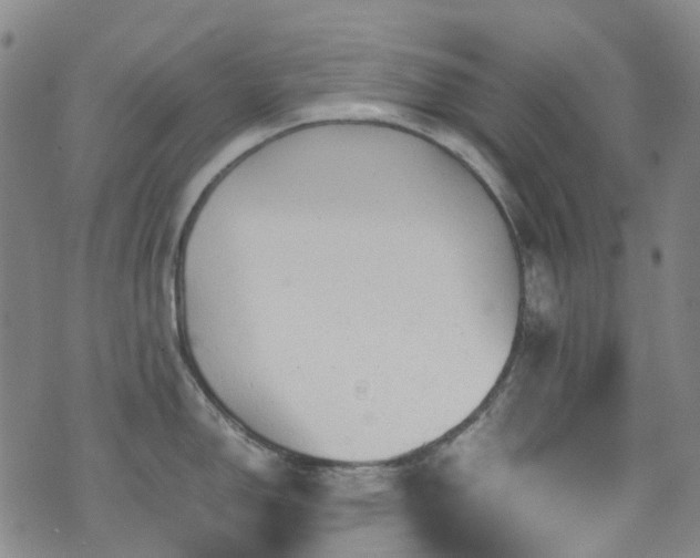 X0000072551150200607141246